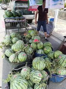 合肥吃瓜网红事件真相,揭秘背后真相与网络舆论的漩涡